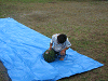 camp22 (277)_samu.gif